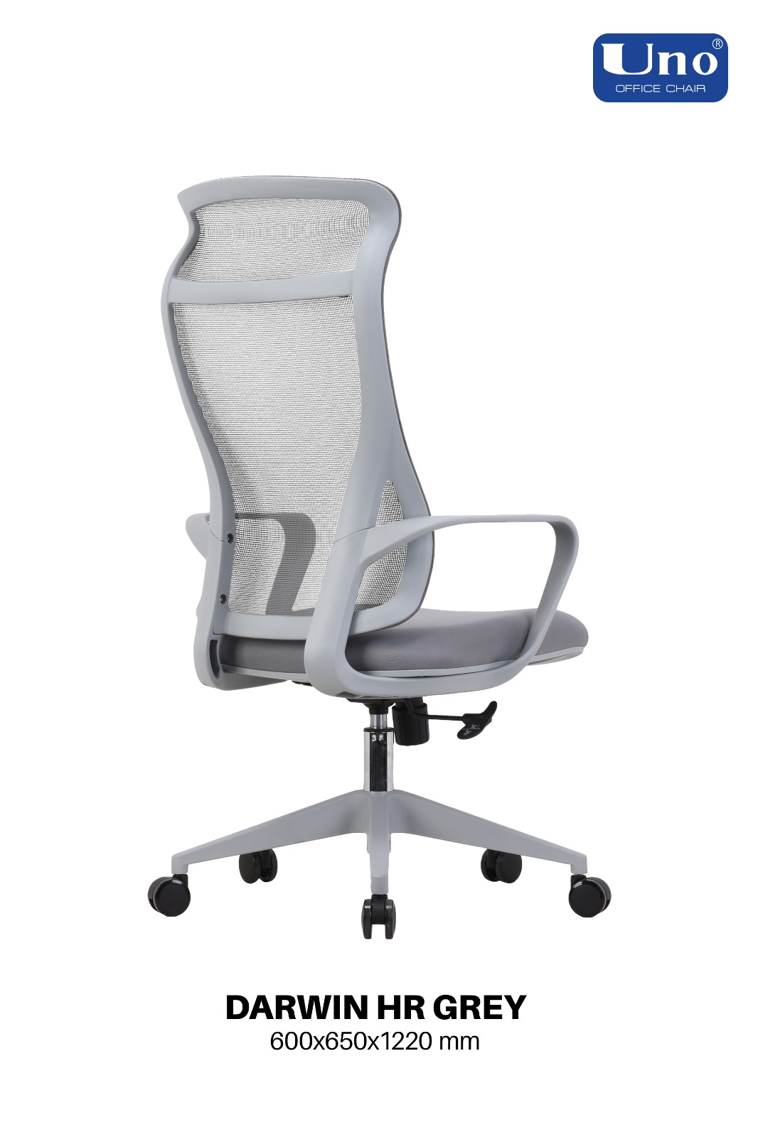 Darwin Series - Image 2