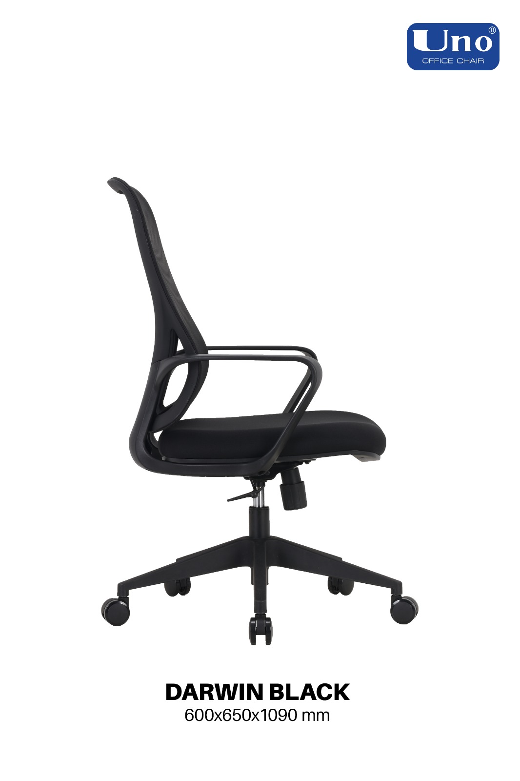 Darwin Series - Black - Image 11