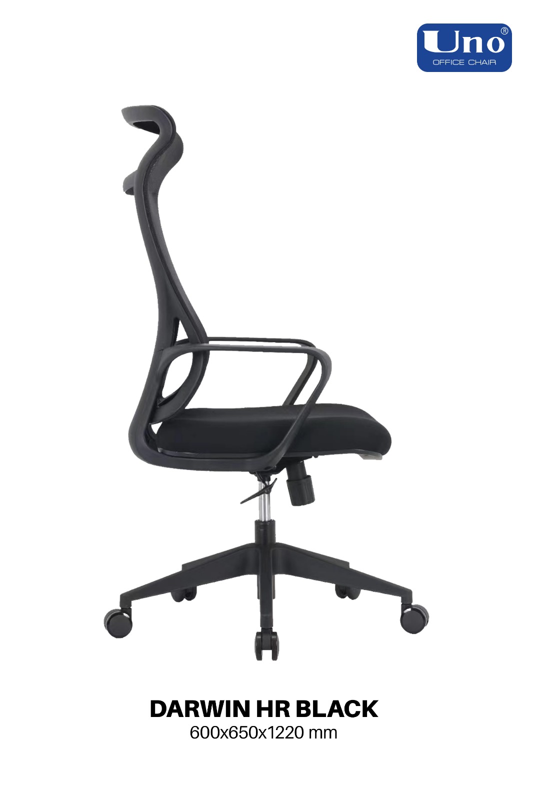 Darwin Series - Black - Image 2