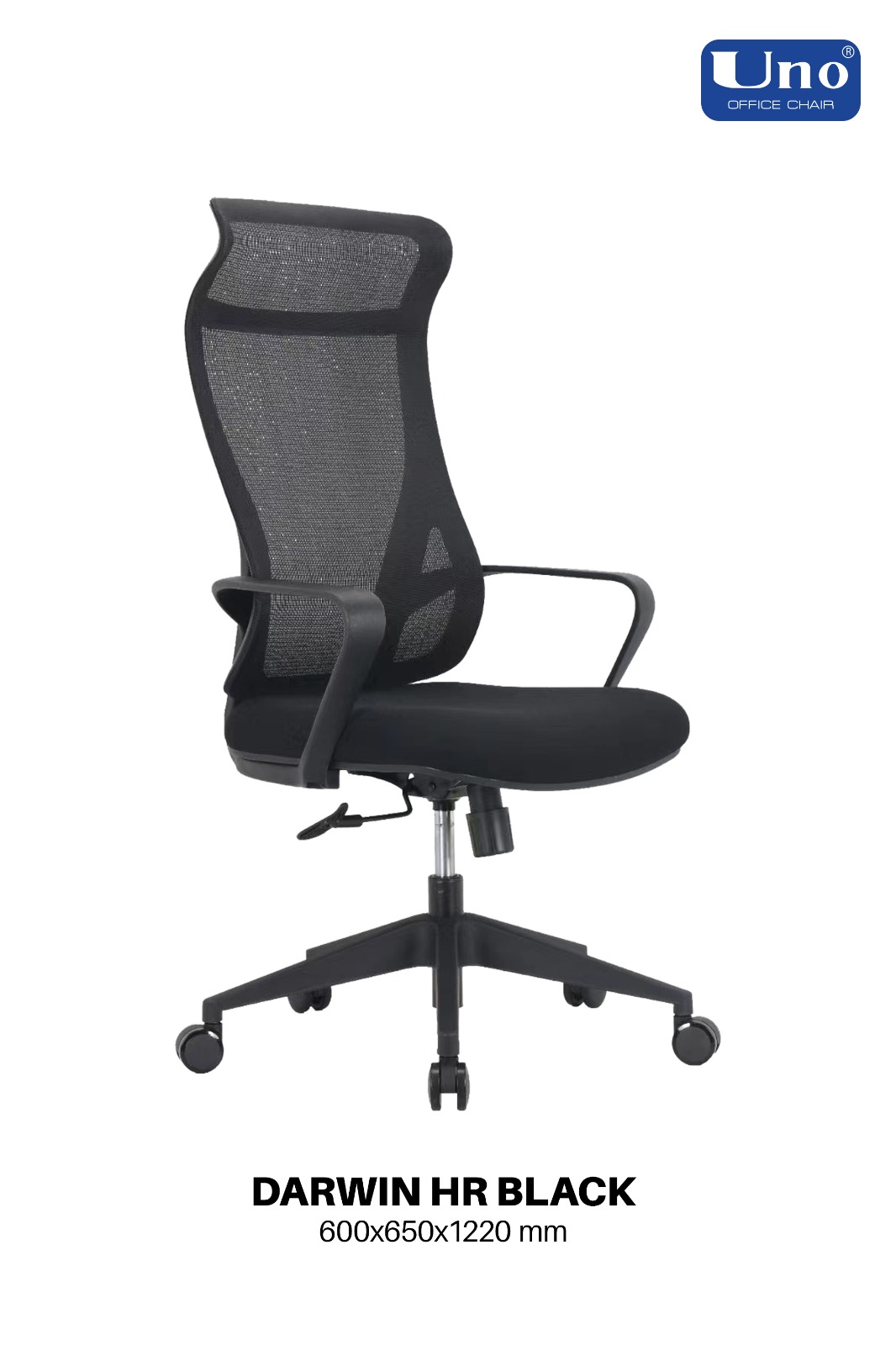 Darwin Series - Black - Image 3