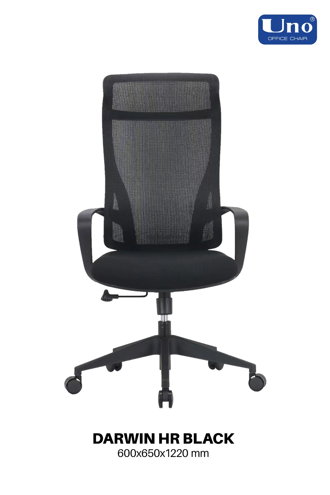 Darwin Series - Black - Image 4