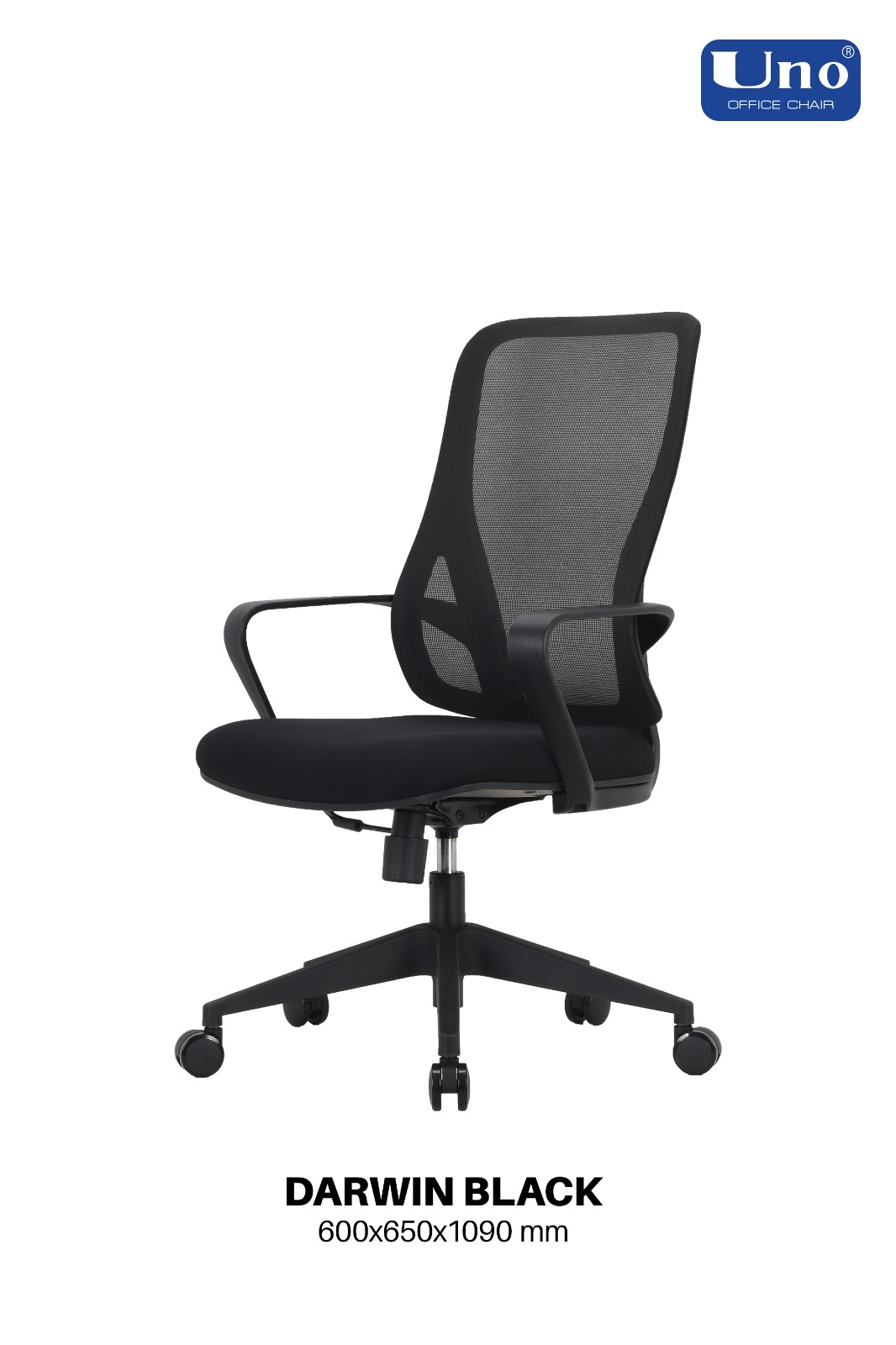 Darwin Series - Black - Image 5