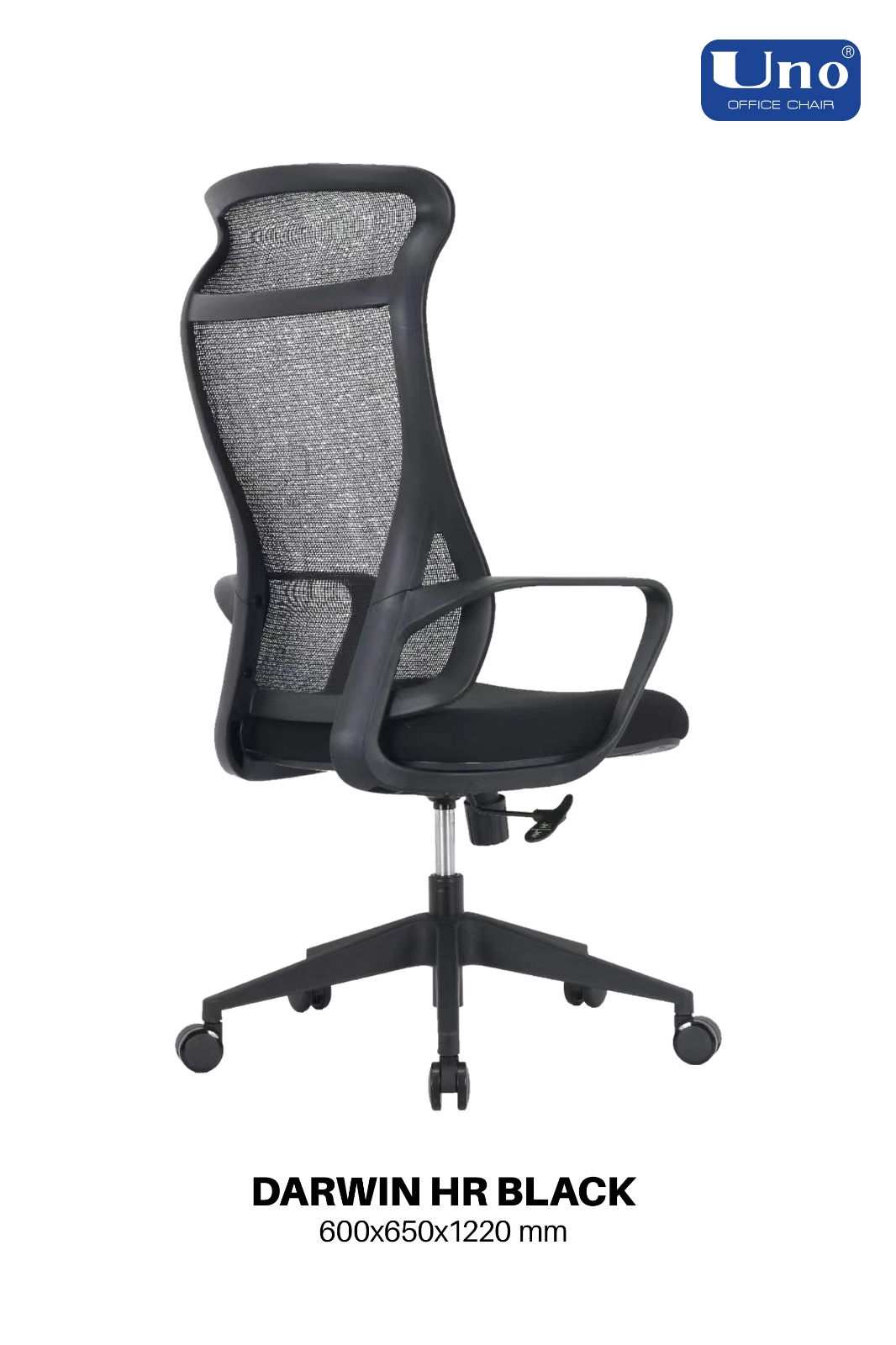 Darwin Series - Black - Image 6