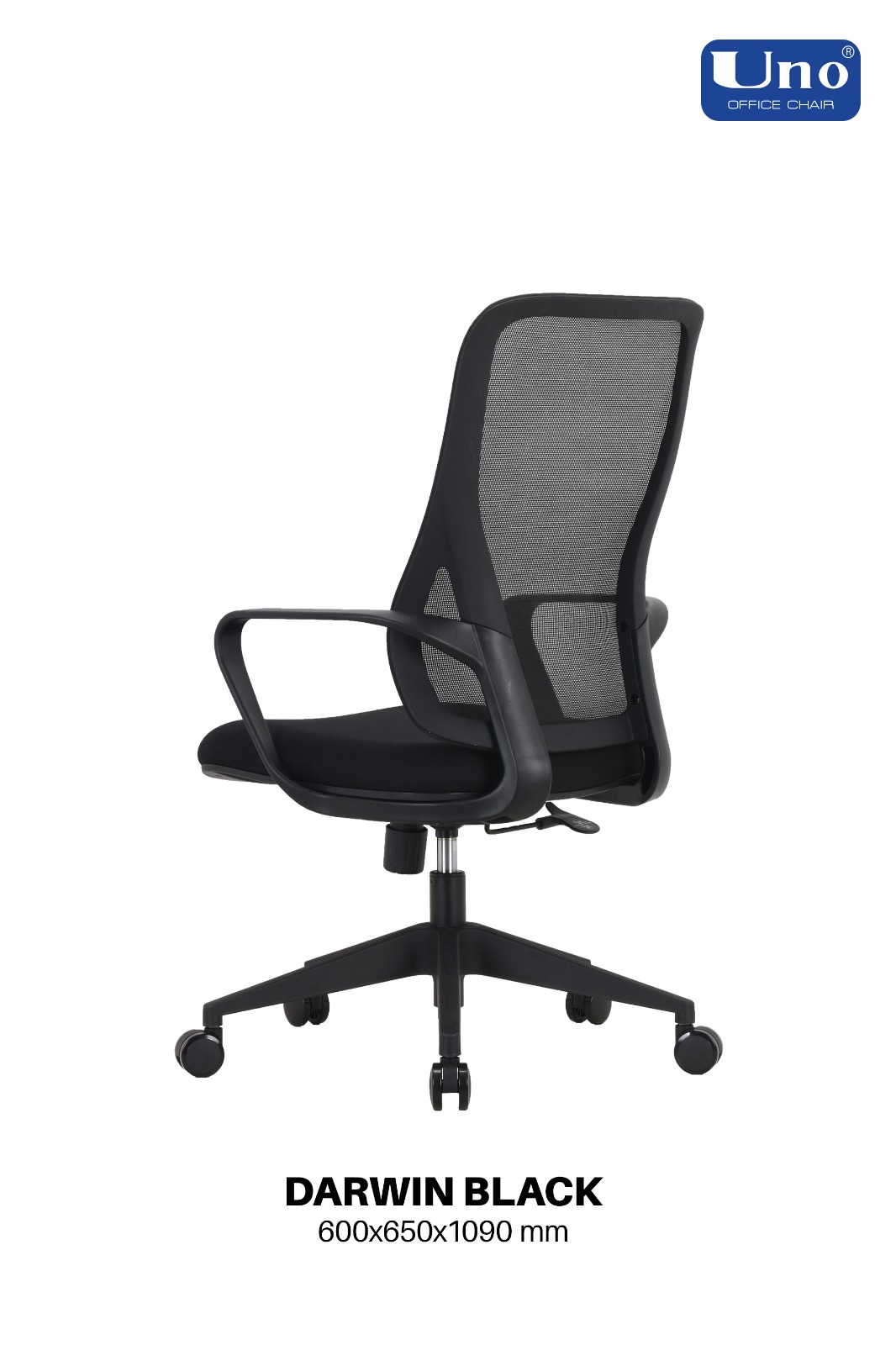 Darwin Series - Black - Image 7