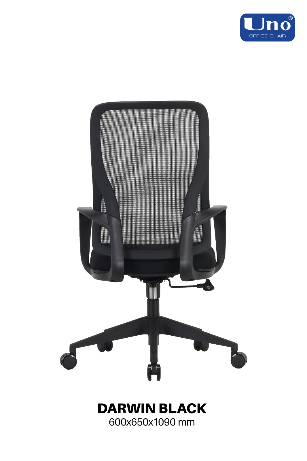 Darwin Series - Black - Image 9