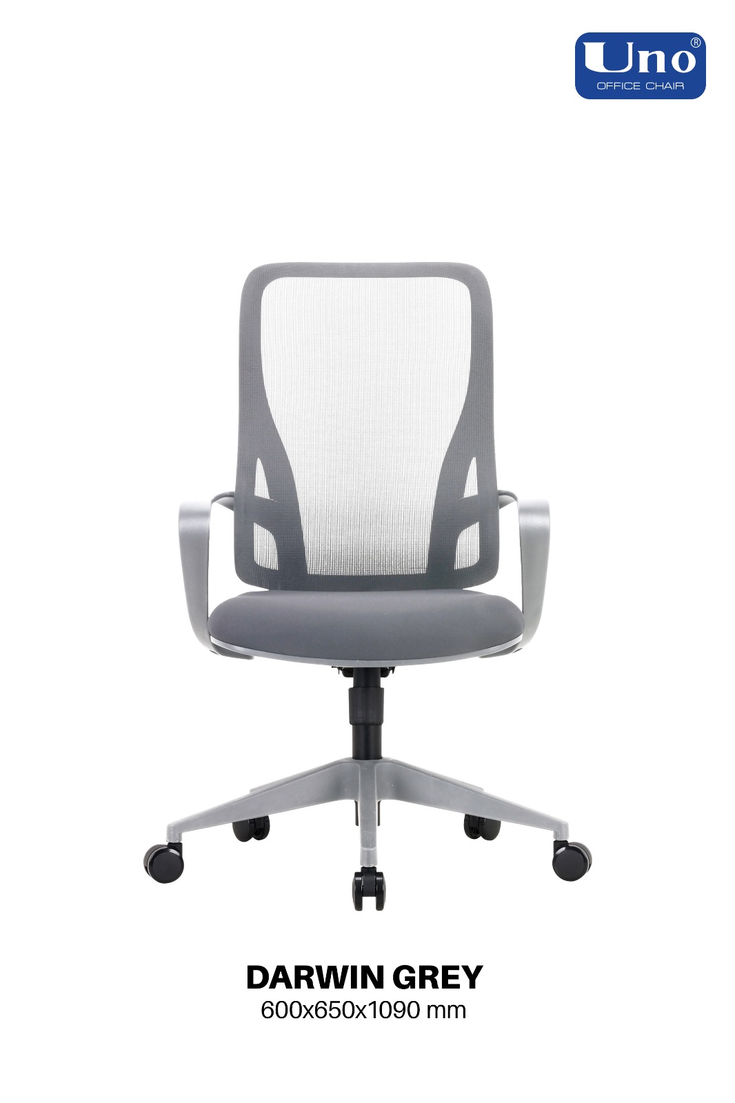 Darwin Series - Grey - Image 11