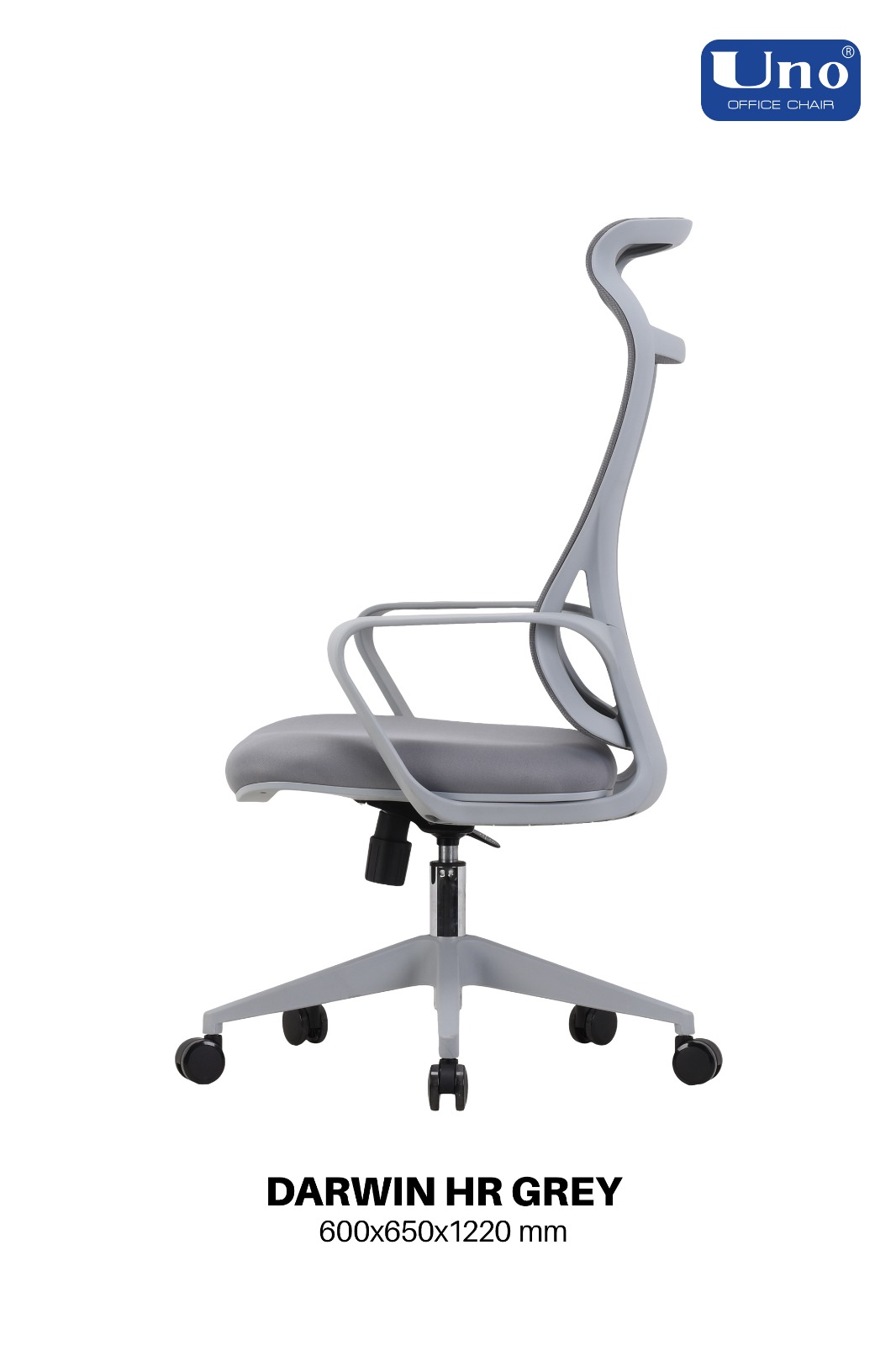 Darwin Series - Grey - Image 2