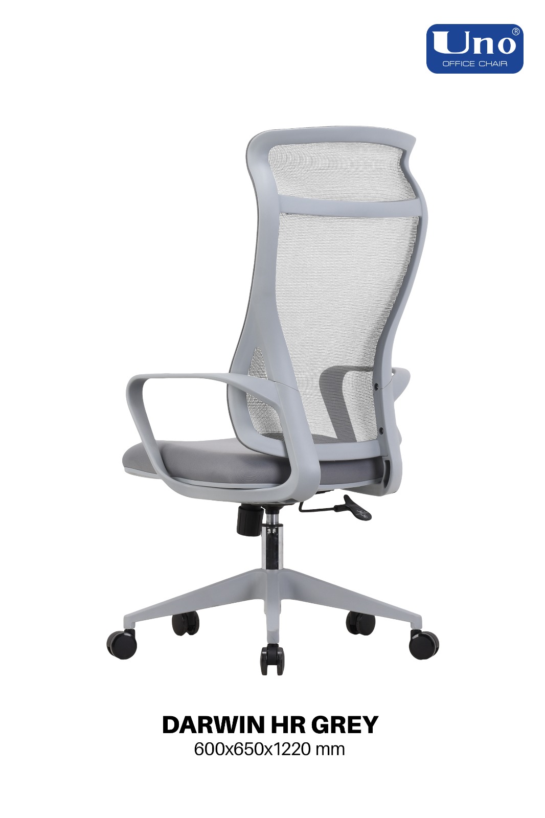 Darwin Series - Grey - Image 3