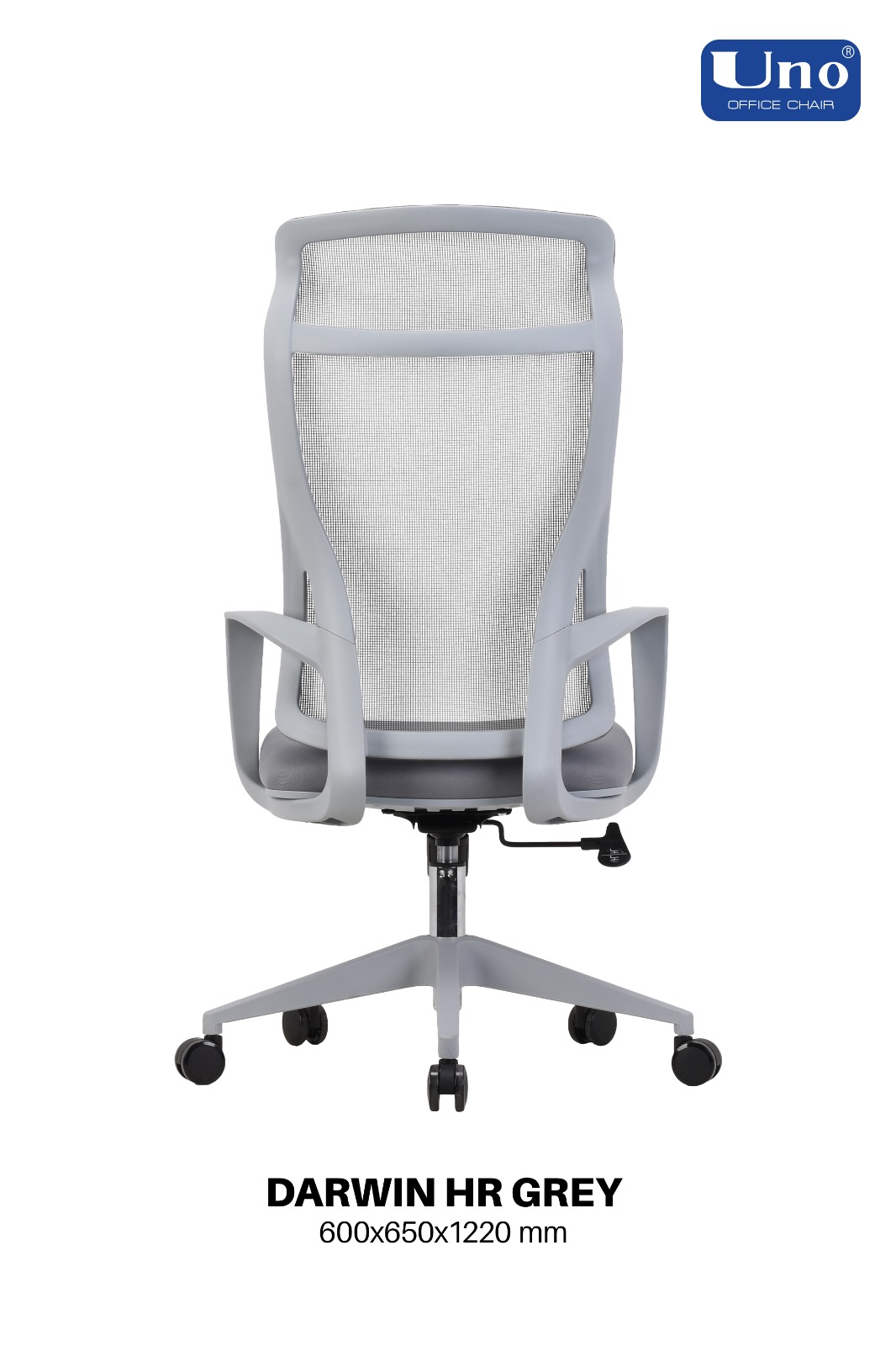 Darwin Series - Grey - Image 5