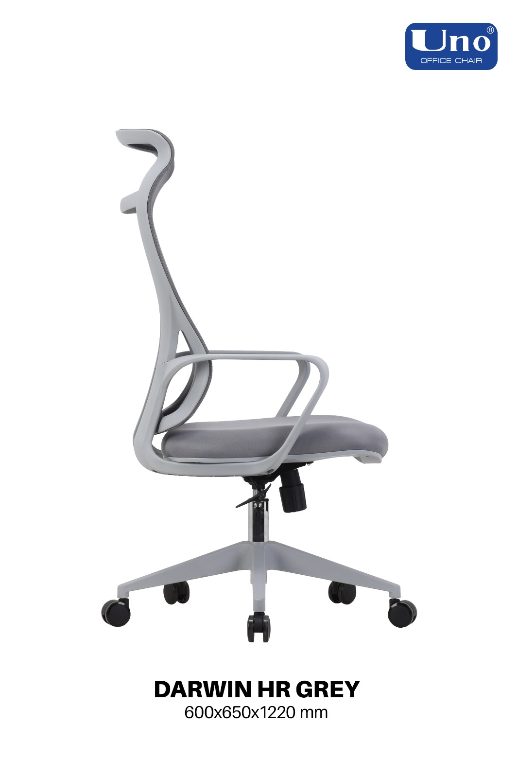 Darwin Series - Grey - Image 6