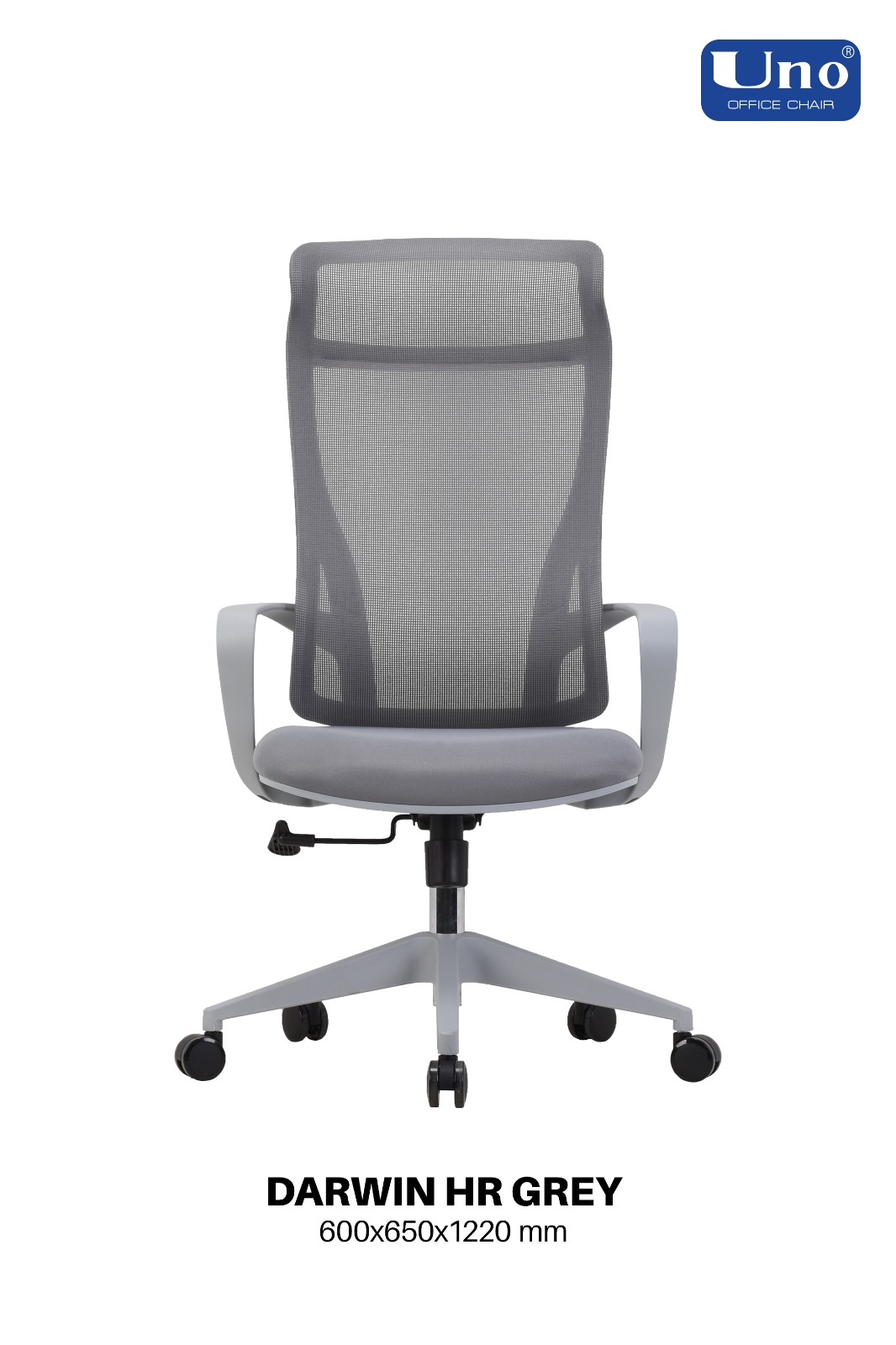 Darwin Series - Grey - Image 8