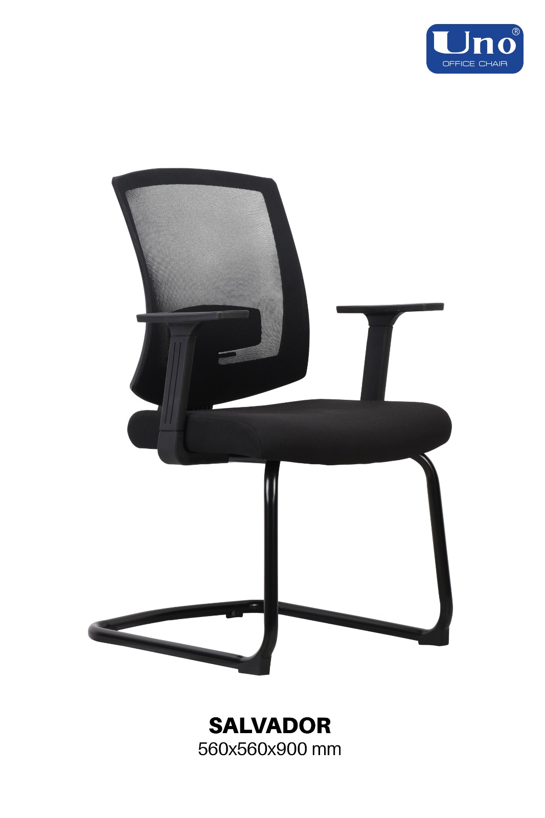 Salvador Series - Standard - Image 4