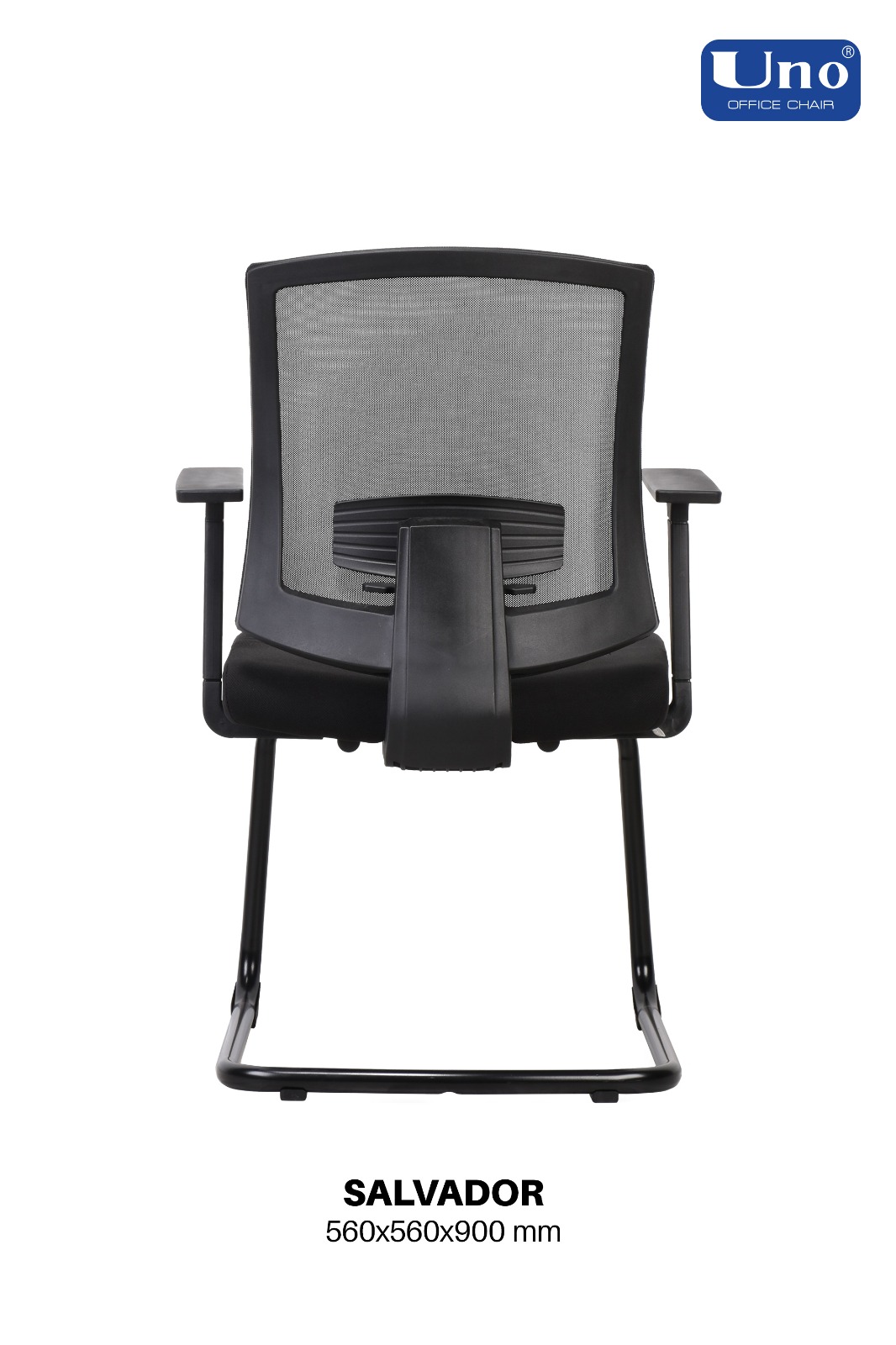 Salvador Series - Standard - Image 5