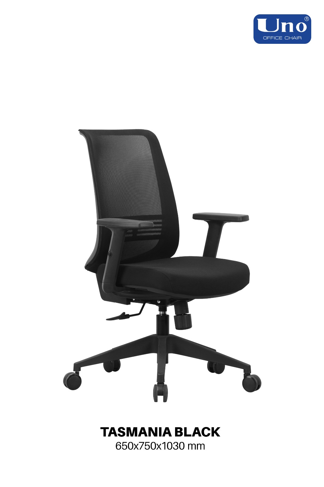 Tasmania Series - Standard - Image 2