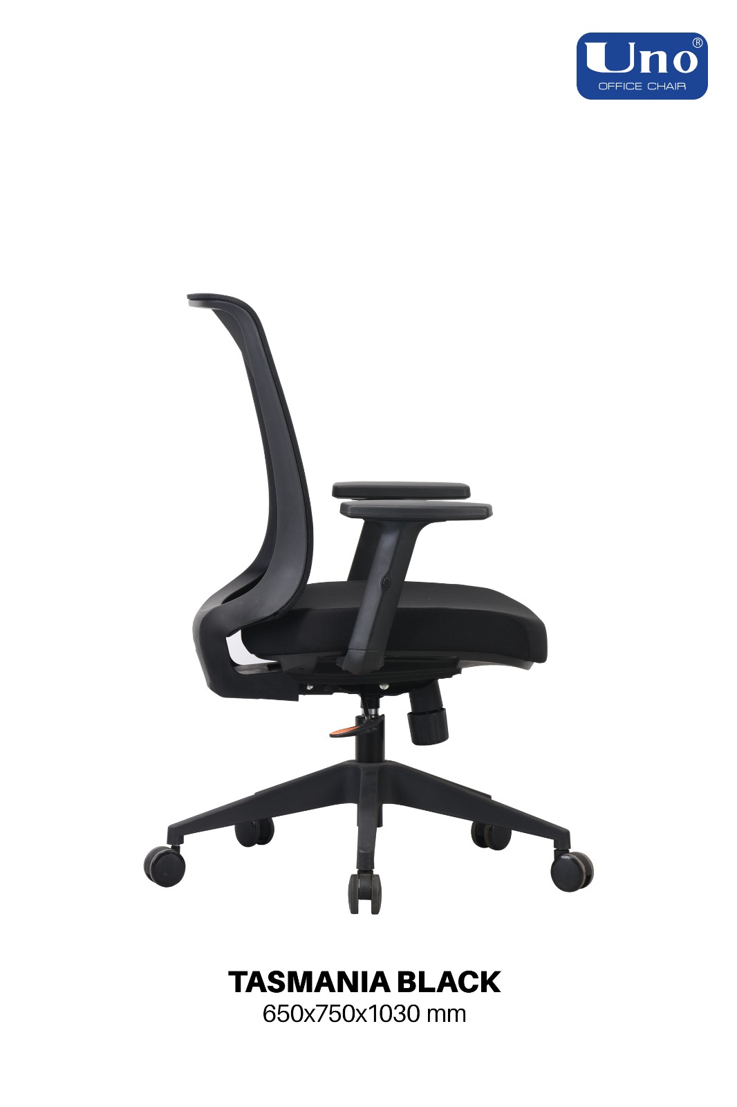 Tasmania Series - Standard - Image 3