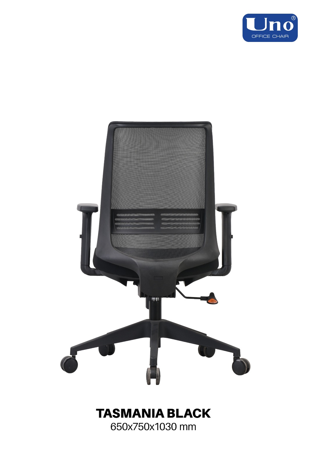 Tasmania Series - Standard - Image 4