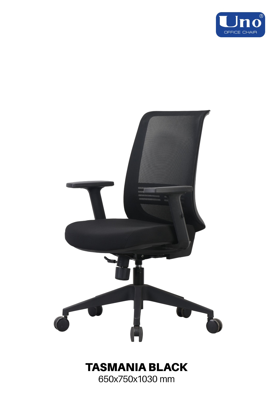 Tasmania Series - Standard - Image 5