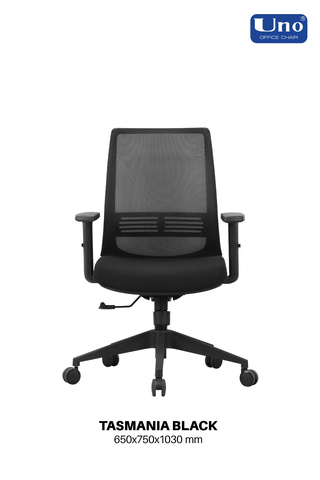 Tasmania Series - Standard - Image 6